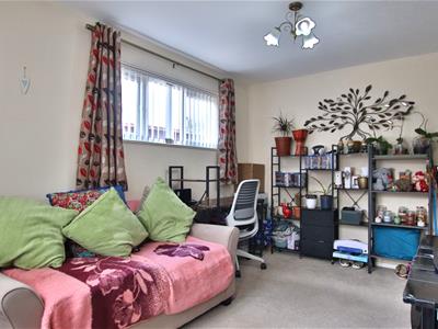 Picture 7